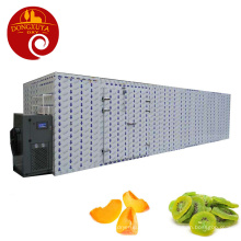 Peach Kiwi Fruit Dryer Industrial Heat Pump Drying Machine